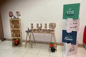 Eco-Fashion-1